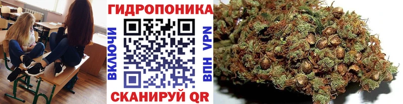 Где купить Новомичуринск Alpha PVP Меф мяу мяу МЕТАДОН МАРИХУАНА ГАШИШ