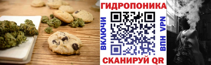 сколько стоит  Новомичуринск  Canna-Cookies марихуана 
