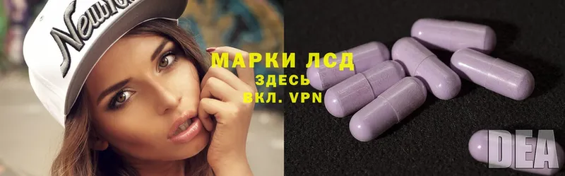 ЛСД экстази ecstasy  мориарти как зайти  Новомичуринск 