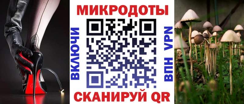 Псилоцибиновые грибы Psilocybine cubensis  Новомичуринск 