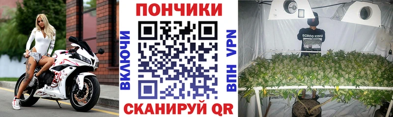 МАРИХУАНА планчик  цены   Новомичуринск 
